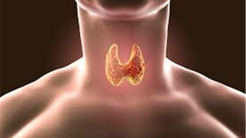 توصیه‌هایی برای کاهش وزن در مبتلایان به کم‌کاری تیروئید