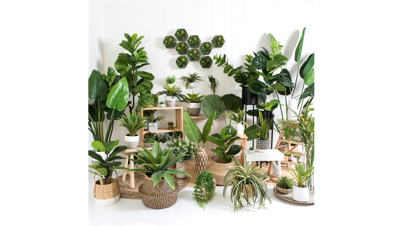 معرفی گیاهان و گلهایی که می‌توان در آپارتمان نگهداری کرد