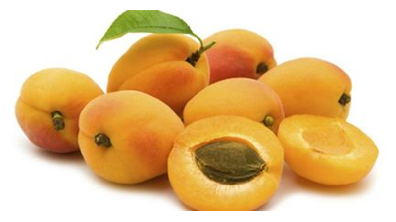 نقش هسته زردآلو در درمان سرطان