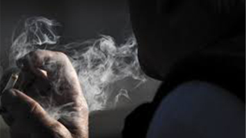 دانش آموزان به سمت مصرف گل رفته‌اند والدین مراقب باشند