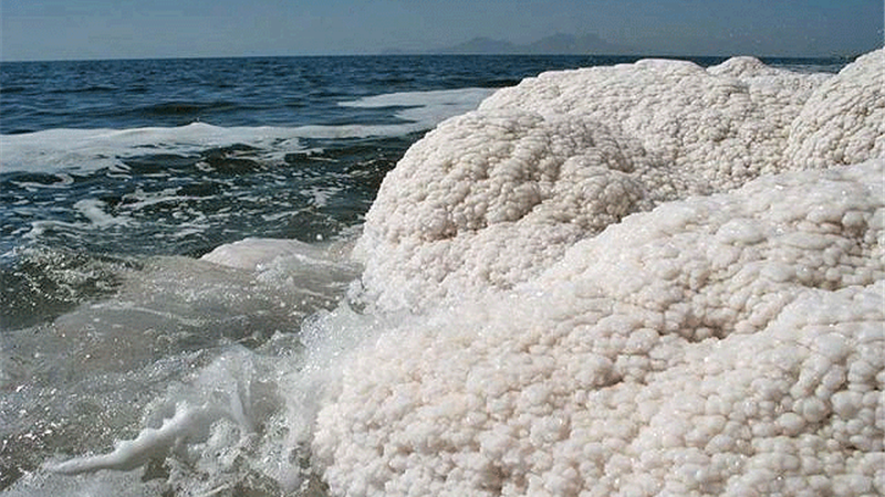 دانش آموختن اشتغال را تضمین نمی‌کند