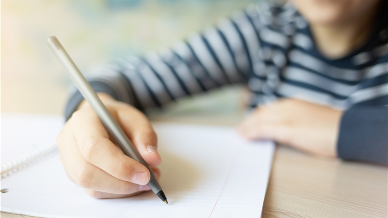 تکلیف خانگی حذف نشد  بچه ها مشق بنویس استخدام کردند