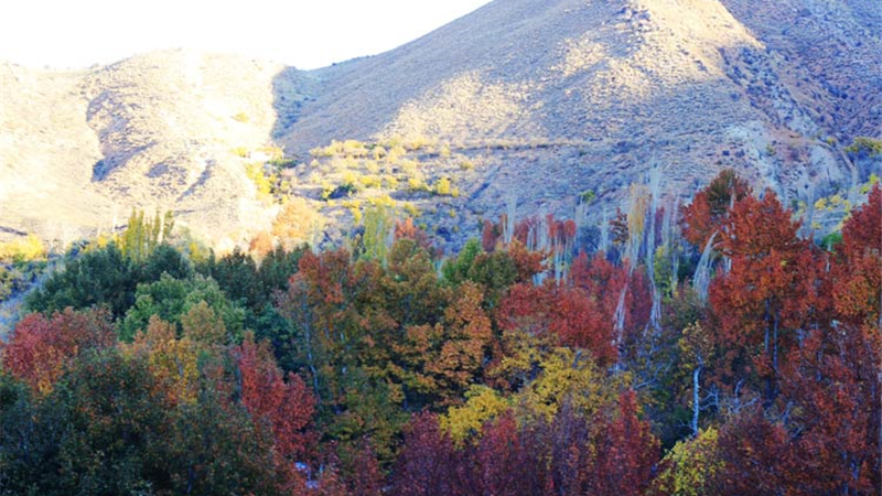 روستای قلات کجاست و چطور به آن سفر کنیم