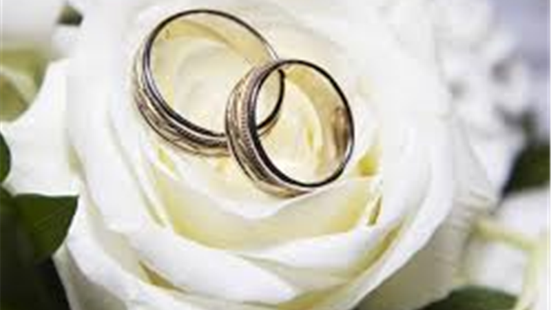 زندگی ام دیگر عشق ندارد چه کنم