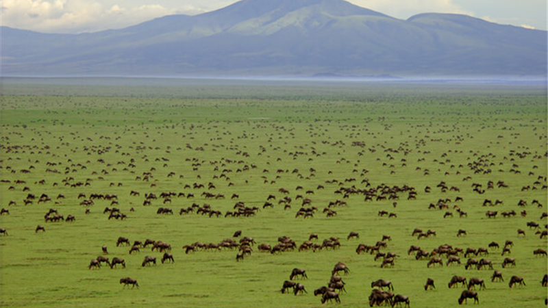 پارک ملی سرنگتی کجاست و چطور به آنجا سفر کنیم