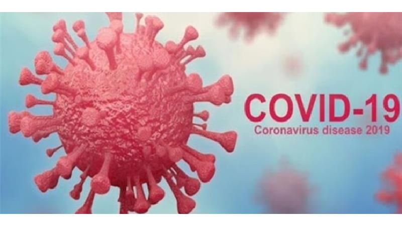 کشف پروتئین‌هایی که می‌تواند از کرونا پیشگیری کند