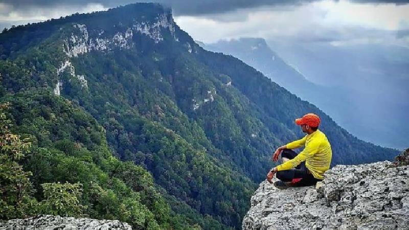 جنگل جهان نما کجاست و چطور به آن سفر کنیم