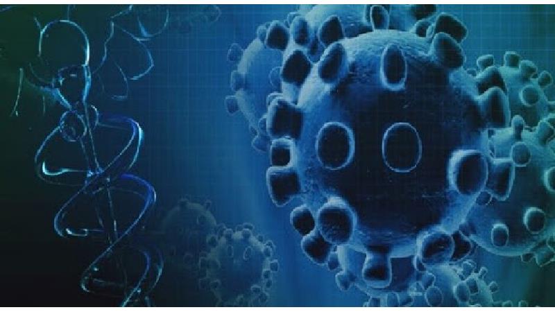 آیا کرونا تمام می شود؟