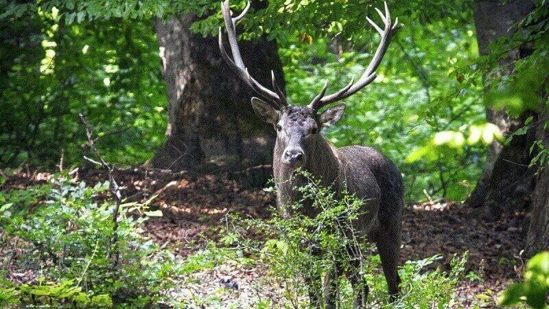 دریاچه گزن چال کجاست و چطور به آن سفر کنیم