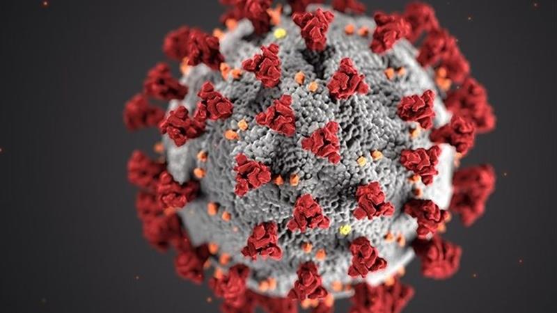 یافته های جدید سوئدی‌ها درباره علت کشنده بودن کرونا