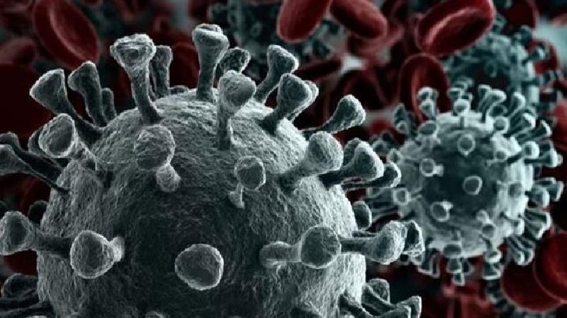 چرا برخی از افراد به کووید-۱۹ شدید مبتلا می‌شوند؟