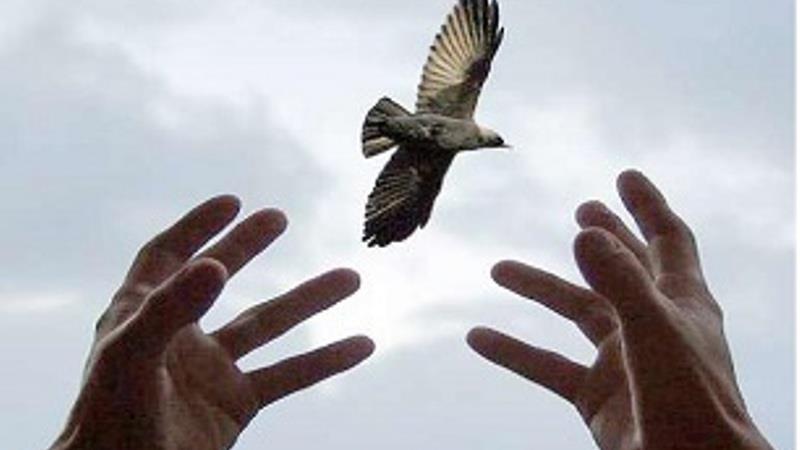 زندگی دردناک زندانی  که در نوجوانی آدم کشت و سه بار پای چوبه دار رفت