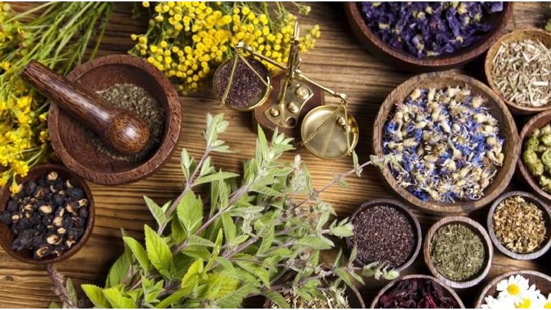 مزاج دموی چیست و چه ویژگی‌هایی دارد و دموی مزاج‌ها باید چه بخورند