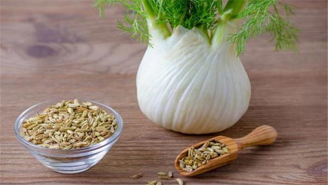 خواص و مضرات رازیانه؛ از درمان چاقی تا از بین برنده میل جنسی مردان