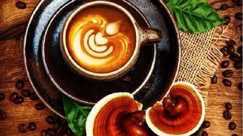 همه چیز درباره قهوه گانودرما؛ از درمان سرطان تا کمک به لاغری