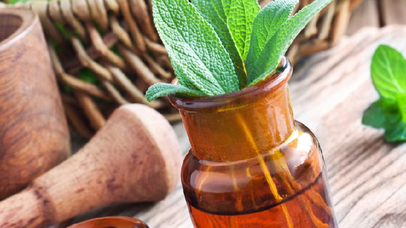 خواص مریم گلی برای سرطان ریه