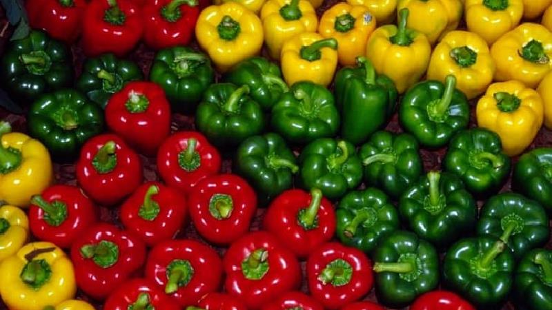 خواص فوق العاده فلفل دلمه  از تقویت پوست تا درمان کبد چرب