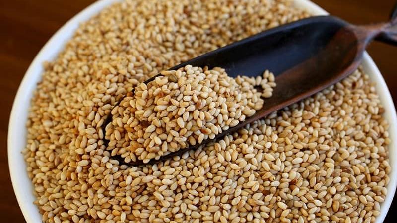 خواص کنجد ؛ از لاغری  و مراقبت از پوست تا پیشگیری از سرطان