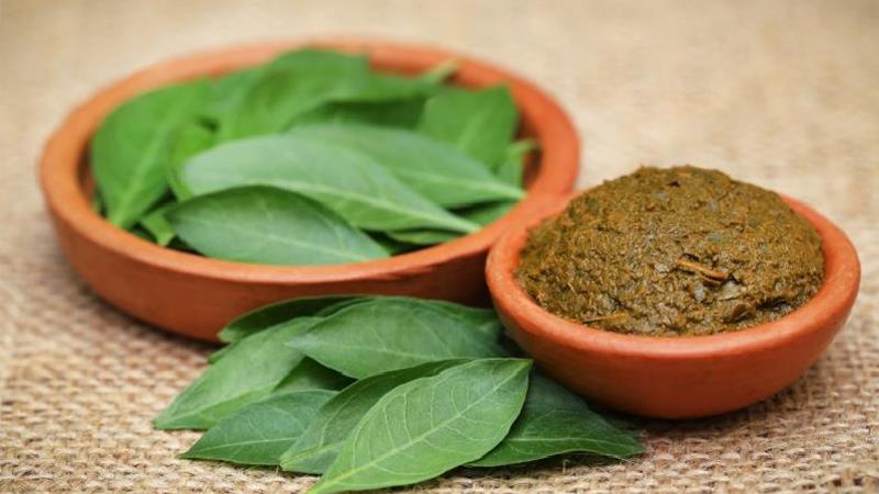 همه خواص و مضرات حنا : از بهبود سردرد تا تقویت مو و پوست