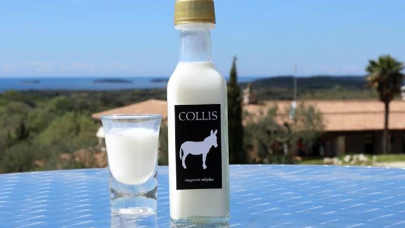 شیر  الاغ چه خواصی دارد و چطور تهیه کنیم