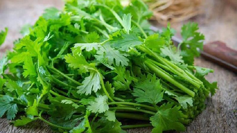 خواص شگفت انگیز جعفری ؛ از درمان عفونت تا زیبایی پوست