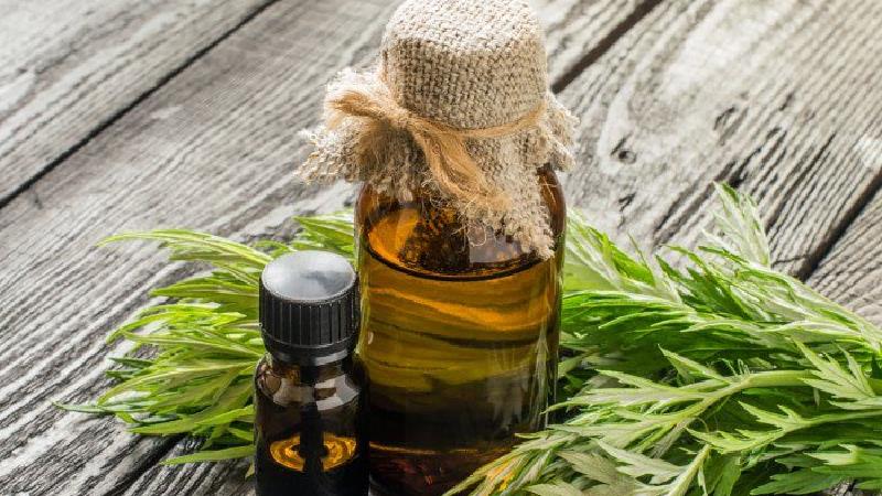 خواص روغن خراطین ؛ از بزرگ کردن  اندامها تا از بین بردن چروک صورت