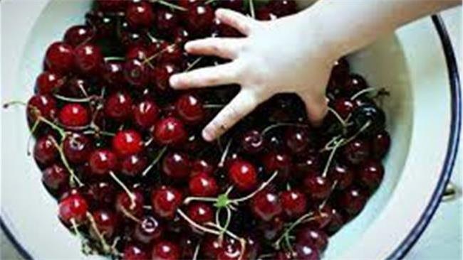 خوراکی های خوشمزه ای که می توان با آلبالو درست کرد