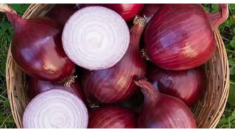 خواص بی نظیر پیاز خام برای مردان و پیشگیری از سرطان