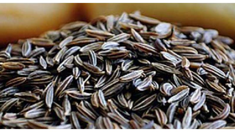 خواص زیره سیاه برای لاغری ، رحم و دستگاه گوارش