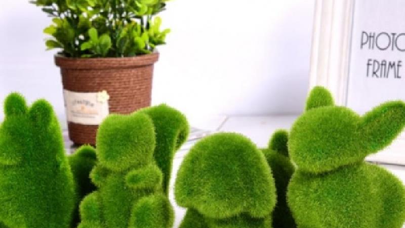 سبزه به شکل ببر را چطوری درست کنیم