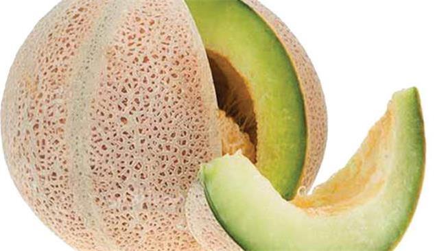 روش تشخیص طالبی شیرین از بی مزه