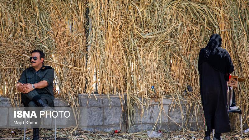 خلاصه داستان و بازیگران سریال طوبی