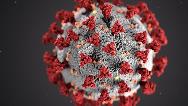 ویروس کرونا چقدر در بدن می ماند؟ آیا تست کرونا قابل اعتماد است؟