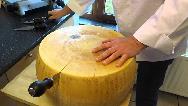 پنیر پارمزان چیست و چطور استفاده می‌شود