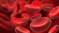 علل کم خونی چیست و چطور  درمان می‌شود