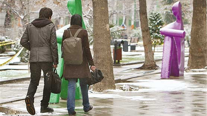 همسر دروغگو