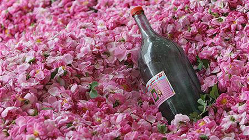 گلاب چطور تهیه می‌شود