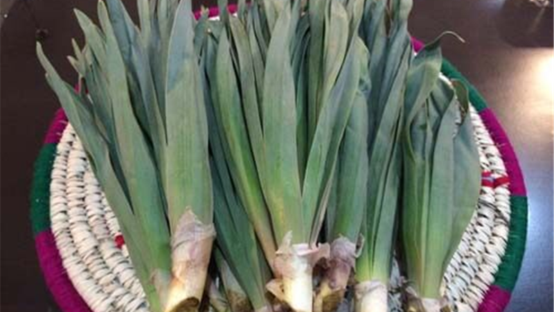 والک با سیر خانگی چه فرقی دارد