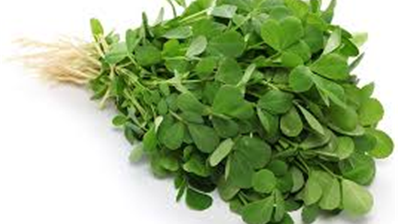 شنبلیله و ریزش مو