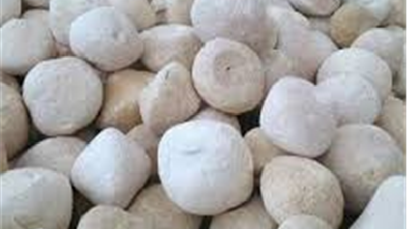 درمان ریزش مو با کشک