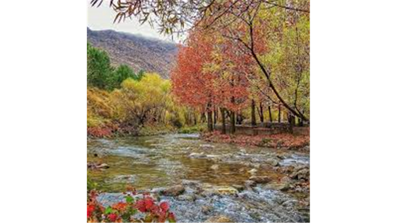 قلات در شیراز