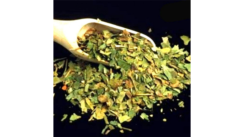 خواص گیاه سداب