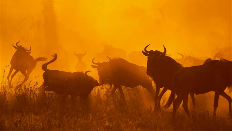 پارک سرنگتی کجاست