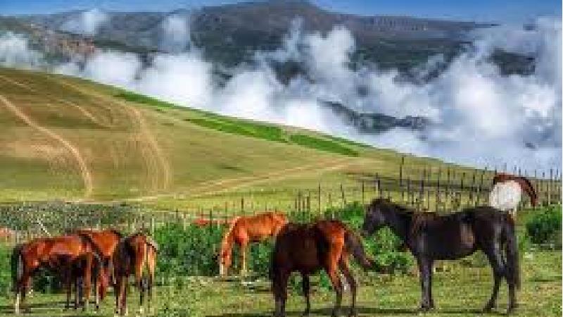 چطور به سوباتان سفر کنیم