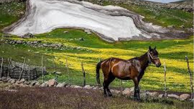 دریاچه نئو در سوباتان