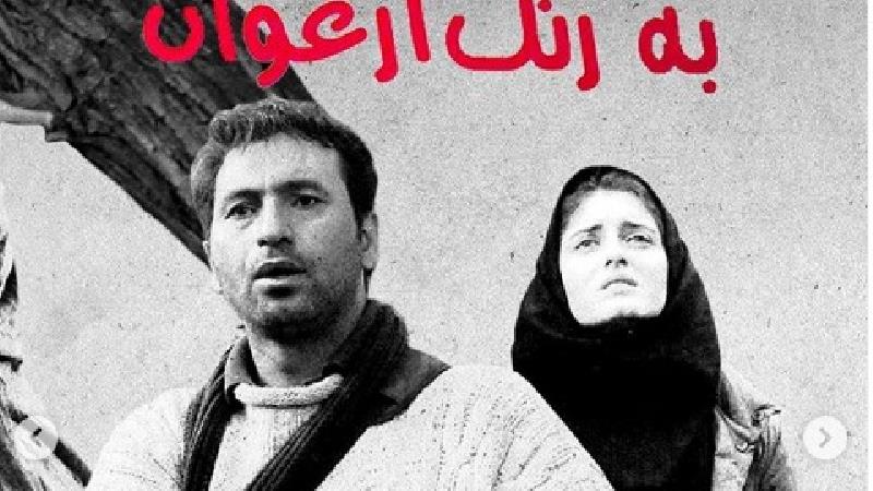 فیلم به رنگ ارغوان