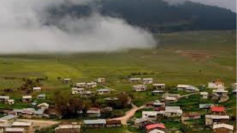 جنگلهای جهان نما