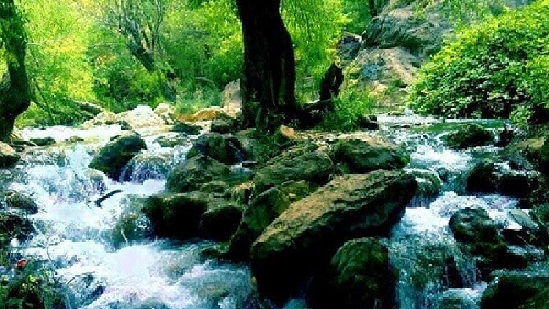 گردشگری در شیراز