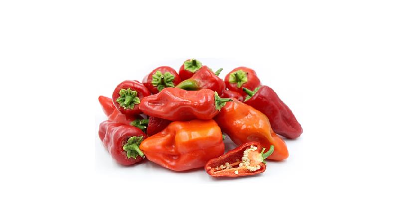 خواص پاپریکا