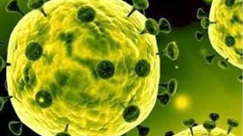 شدت کرونا در پاییز